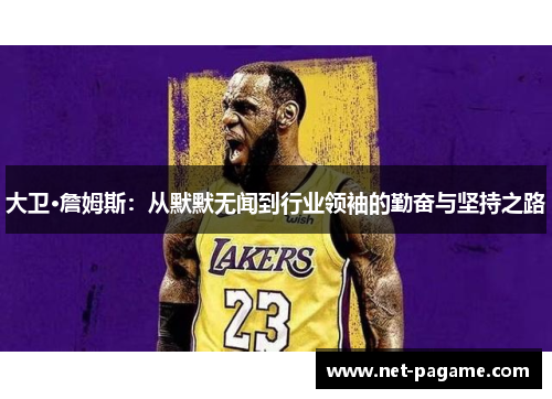 大卫·詹姆斯：从默默无闻到行业领袖的勤奋与坚持之路