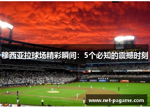 穆西亚拉球场精彩瞬间：5个必知的震撼时刻