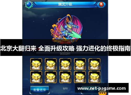 北京大腿归来 全面升级攻略 强力进化的终极指南 北京大腿归来 全面升级攻略 强力进化的终极指南