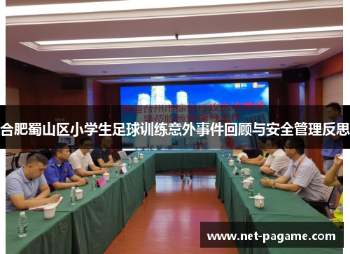合肥蜀山区小学生足球训练意外事件回顾与安全管理反思