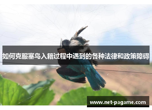 如何克服塞鸟入籍过程中遇到的各种法律和政策障碍 如何克服塞鸟入籍过程中遇到的各种法律和政策障碍
