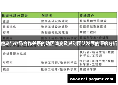 魔鸟与老马合作关系的动因演变及其对团队发展的深度分析