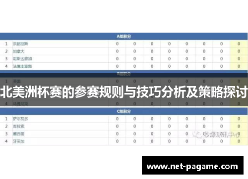 北美洲杯赛的参赛规则与技巧分析及策略探讨