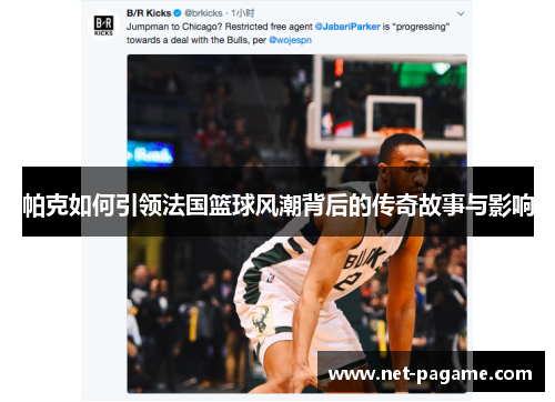 帕克如何引领法国篮球风潮背后的传奇故事与影响 帕克如何引领法国篮球风潮背后的传奇故事与影响