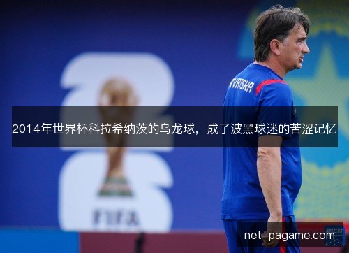 2014年世界杯科拉希纳茨的乌龙球，成了波黑球迷的苦涩记忆