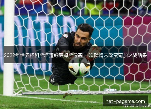 2022年世界杯科斯塔遭威廉姆斯偷袭 一次险情未改变葡加之战结果